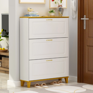 Petrice Shoe Storage Cabinet with Adjustable Shelves, Slim Narrow Shoe Storage Cabinet